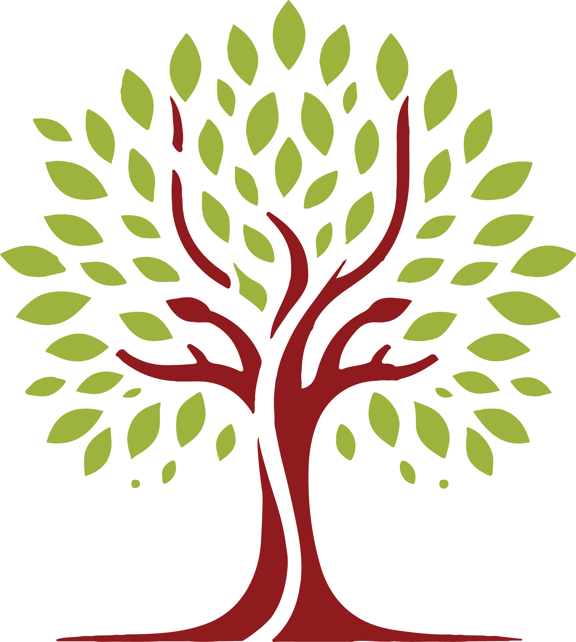 Tree Illustration
